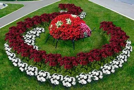 paturi de flori decorative în țară cu propriile mâini o fotografie de paturi de flori în grădină și instrucțiunile (decorativ) paturi de flori decorative în țară cu propriile mâini o fotografie de paturi de flori în grădină și instrucțiunile