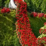 Design de paturi de flori în țară cu paturi tipuri de propriile lor mâini, alegerea de culori, gazon de plantare
