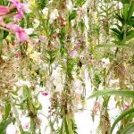 Design de paturi de flori în țară cu paturi tipuri de propriile lor mâini, alegerea de culori, gazon de plantare