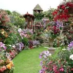 Design de paturi de flori în țară cu paturi tipuri de propriile lor mâini, alegerea de culori, gazon de plantare