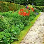 alei de grădină Design - idei pentru punerea în aplicare propriile lor mâini (alei de grădină de proiectare în grădină) alei de grădină Design - idei pentru punerea în aplicare propriile lor mâini