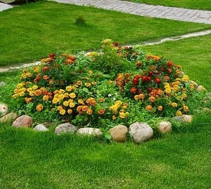 Design de paturi de flori în țară cu paturi tipuri de propriile lor mâini, alegerea de culori, gazon de plantare