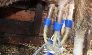 Mașină de muls pentru vaci cu mâinile lor - instrucțiunile de asamblare și desenele (muls) Mașină de muls pentru vaci cu mâinile lor - instrucțiunile de asamblare și desenele