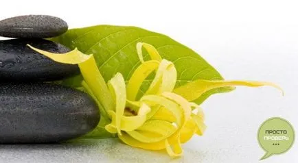 Uleiul esential de ylang-ylang - proprietăți, aplicații, comentarii