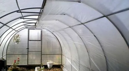 prelucrare eficienta a serelor din policarbonat în toamna Phytophthora, musculița albă, acarieni și