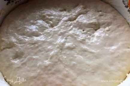 tort drojdie de bere cu cartofi reteta 👌 cu fotografii pas cu pas, vom mânca rețete de la Julia acasă de gătit () tort drojdie de bere cu cartofi reteta 👌 cu fotografii pas cu pas, vom mânca acasă rețete de gătit de la Julia