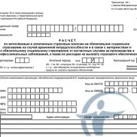 fondul de asigurări sociale vRumyniyaimeet un rol imens în cetățeni poodderzhke sociale (alocații pentru FSS în 2014) fondul de asigurări sociale vRumyniyaimeet un rol imens în cetățenii poodderzhke sociale