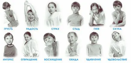 emoții umane descriere de bază cât de mult rolul și semnificația (umane) emoțiile umane descriere de bază, cât de mult, rolul și importanța