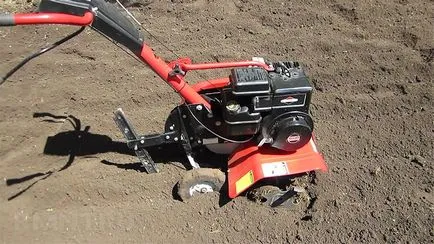 Lawn în țară modul de a face un gazon verde, cu propriile sale mâini (stabilire gazon) Lawn în țară modul de a face un gazon verde, cu propriile sale mâini