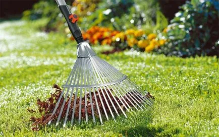 Lawn în țară modul de a face un gazon verde, cu propriile sale mâini (mâini) Lawn în țară modul de a face un gazon verde, cu propriile sale mâini