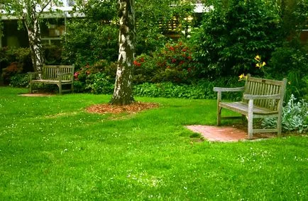Lawn în țară modul de a face un gazon verde, cu propriile sale mâini (iarba de plantare) Lawn în țară modul de a face un gazon verde, cu propriile sale mâini