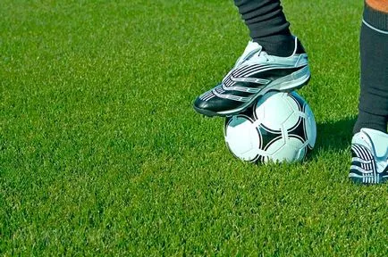 Lawn în țară modul de a face un gazon verde, cu propriile sale mâini (îngrijire gazon) Lawn în țară modul de a face un gazon verde, cu propriile sale mâini