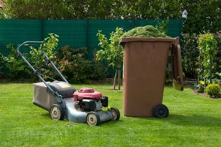 Lawn în țară modul de a face un gazon verde, cu propriile sale mâini (tipuri de peluze) Lawn în țară modul de a face un gazon verde, cu propriile sale mâini