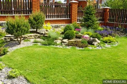 Lawn în țară cu propriile mâini