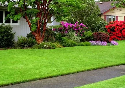Lawn în țară modul de a face un gazon verde, cu propriile sale mâini (iarba de plantare) Lawn în țară modul de a face un gazon verde, cu propriile sale mâini