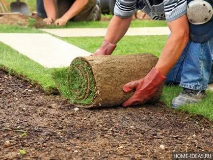 Lawn în țară cu propriile mâini