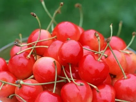 psihologie fructe