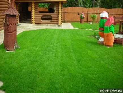 Lawn în țară cu propriile mâini