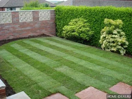 Lawn în țară cu propriile mâini