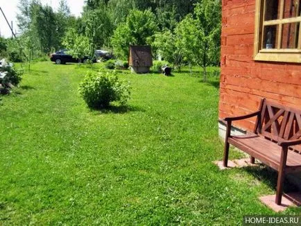 Lawn în țară cu propriile mâini