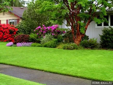 Lawn în țară cu propriile mâini