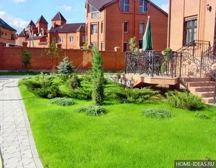Lawn în țară cu propriile mâini