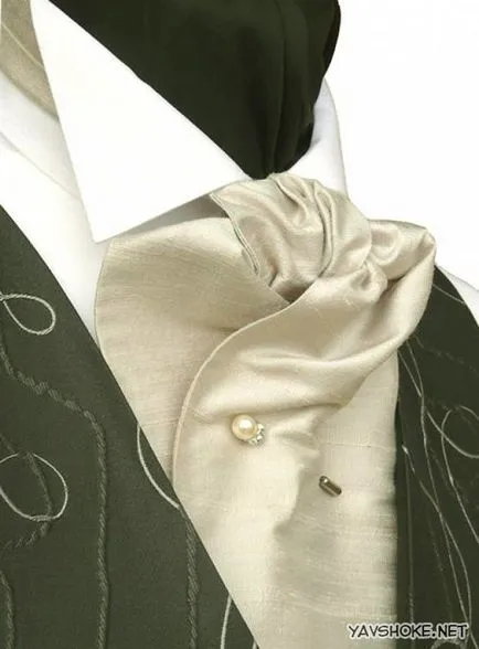 Plastron cravată cu ceea ce sa poarte, cum să cravată (îmbrăcăminte) Plastron cravată cu ceea ce sa poarte, cum să cravată