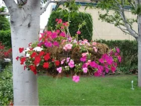 Ideea pentru decorarea gradina
