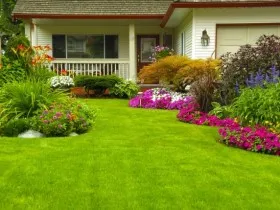 Ideea pentru decorarea gradina
