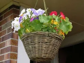 Ideea pentru decorarea gradina
