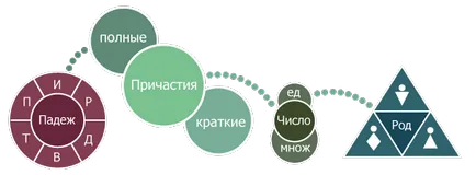 Capitolul 12