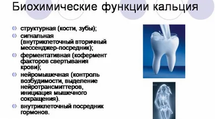 Functia hormonului glucagon care generează, instrucțiuni de utilizare