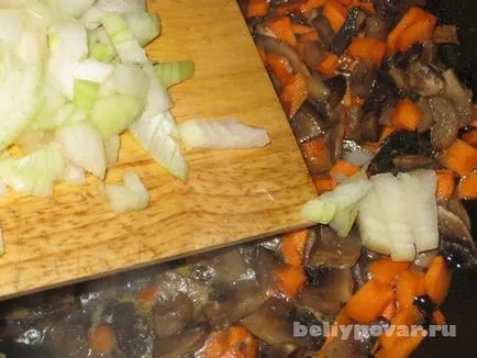 Ghiveci cu carne de pui si ciuperci