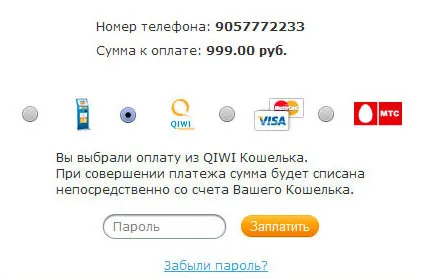 instrucțiuni de plată prin pungă Qiwi