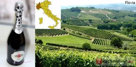 Vin spumant Martini Asti - «Asti Martini - șampanie mea preferată! O analiză detaliată a (martini) Vin spumant Martini Asti - «Asti Martini - șampanie mea preferată! O trecere în revistă detaliată a acestui