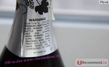 Vin spumant Martini Asti - «Asti Martini - șampanie mea preferată! O trecere în revistă detaliată a (șampanie) Vin spumant Martini Asti - «Asti Martini - șampanie mea preferată! O trecere în revistă detaliată a acestui