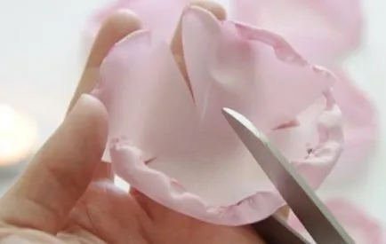 Producția de flori din material textil, cu mâinile lor mod amar ca o clasă hobby și de master (hobby-uri și interese) Producția de flori din material textil, cu mâinile lor mod amar ca un hobby și master-class