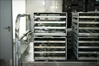 Cum se face acest lucru Samoletnaya alimente