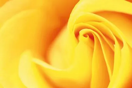 Cum de a face fotografii bune ale celor 10 recomandări (bune) Cum de a face fotografii bune de 10 recomandări