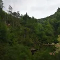 Structura ocupării forței de muncă în Dow GEF