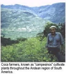 CNS stimulente, cocaină și crack - Dependenta