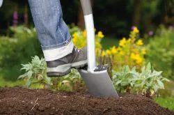 Cum sa scapi de brusture pe un site pentru totdeauna, cum să se ocupe (secțiunea) Cum sa scapi de brusture pe un site pentru totdeauna, cum să se ocupe