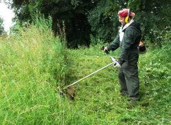 Cum sa scapi de brusture pe un site pentru totdeauna, cum să se ocupe (secțiunea) Cum sa scapi de brusture pe un site pentru totdeauna, cum să se ocupe