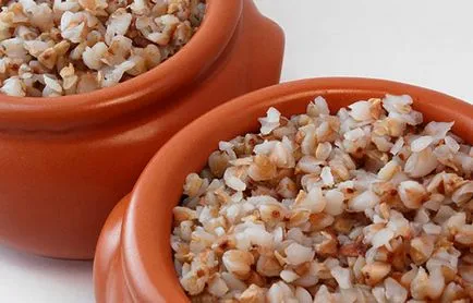 Care sunt cerealele (cereale) se pot hrăni câinii, despre câini (hrănire) Care sunt cerealele (cereale) se pot hrăni câinii, despre câini