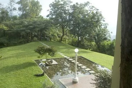 Ce alei de grădină în țară sau regiune (35 poze)