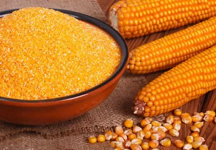 Care sunt cerealele (cereale) se pot hrăni câinii, despre câini (hrănire) Care sunt cerealele (cereale) se pot hrăni câinii, despre câini