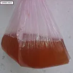 Cum să se hrănească albinele cu un pachet, apicultura practică (de toamnă albine hrănire) Cum să se hrănească albinelor cu pachete, apicultura practică