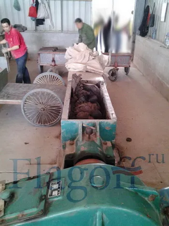 Ca produs și produc cupe pentru sublimare (cani izgotavleniye pentru sublimare) Cum de a face și de a produce cani pentru sublimare