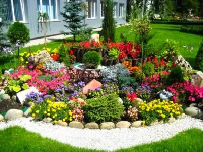 Cum ai aranja patul de flori de lângă casa cu propriile sale mâini idei interesante