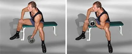 Cum se descarcă biceps la om acasă (biceps) Cum se descarcă biceps la om acasă